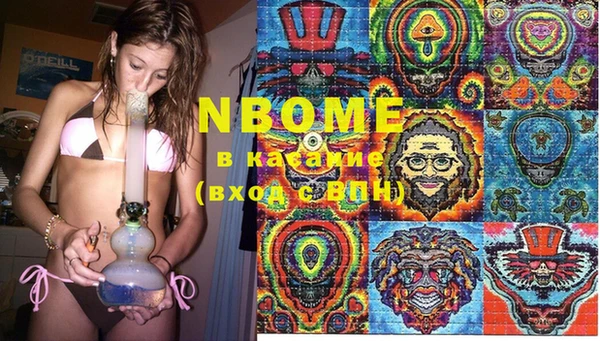 индика Елизово