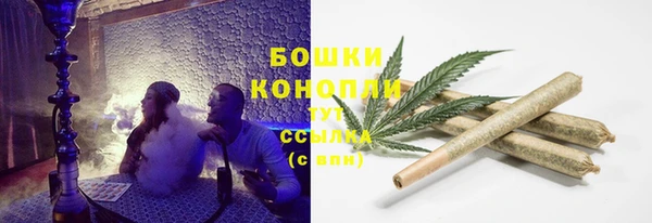 индика Елизово