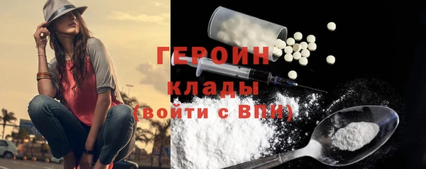 индика Елизово