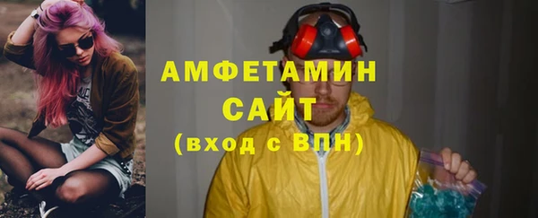 индика Елизово