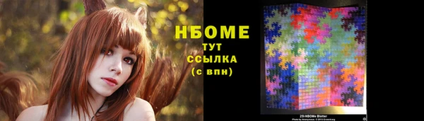 индика Елизово