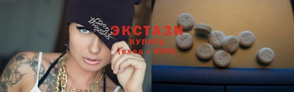 индика Елизово