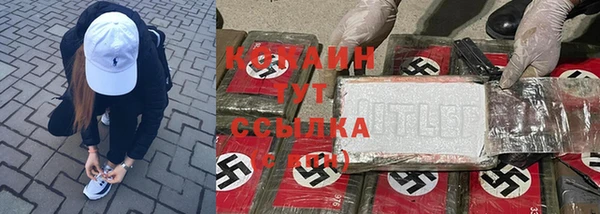 индика Елизово