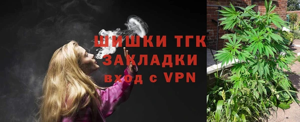 индика Елизово