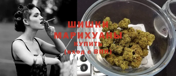 индика Елизово