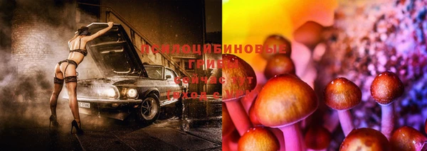 spice Елабуга