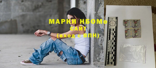 индика Елизово